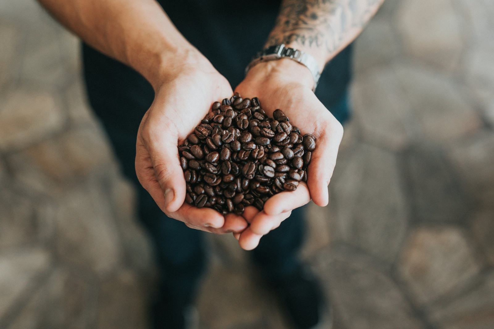 Hands holding freshly harvested coffee